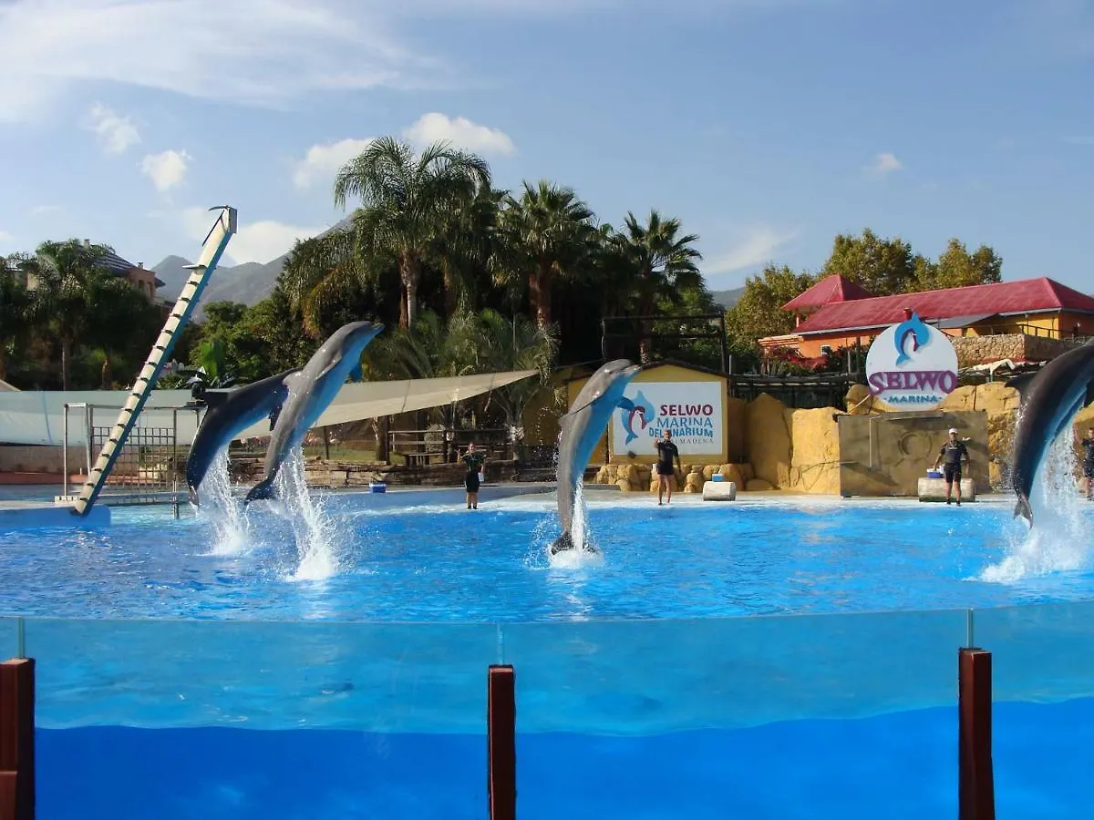 Benalmadena Costa Sol Holiday Rentals Apartment