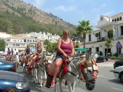 Apartment Benalmadena Costa Sol Holiday Rentals Spain
